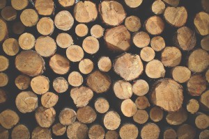 štípané palivové dřevo